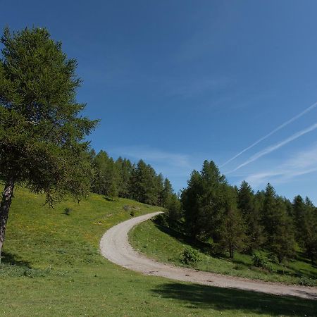 Les Hauts Des Auches Ancelle Eksteriør bilde